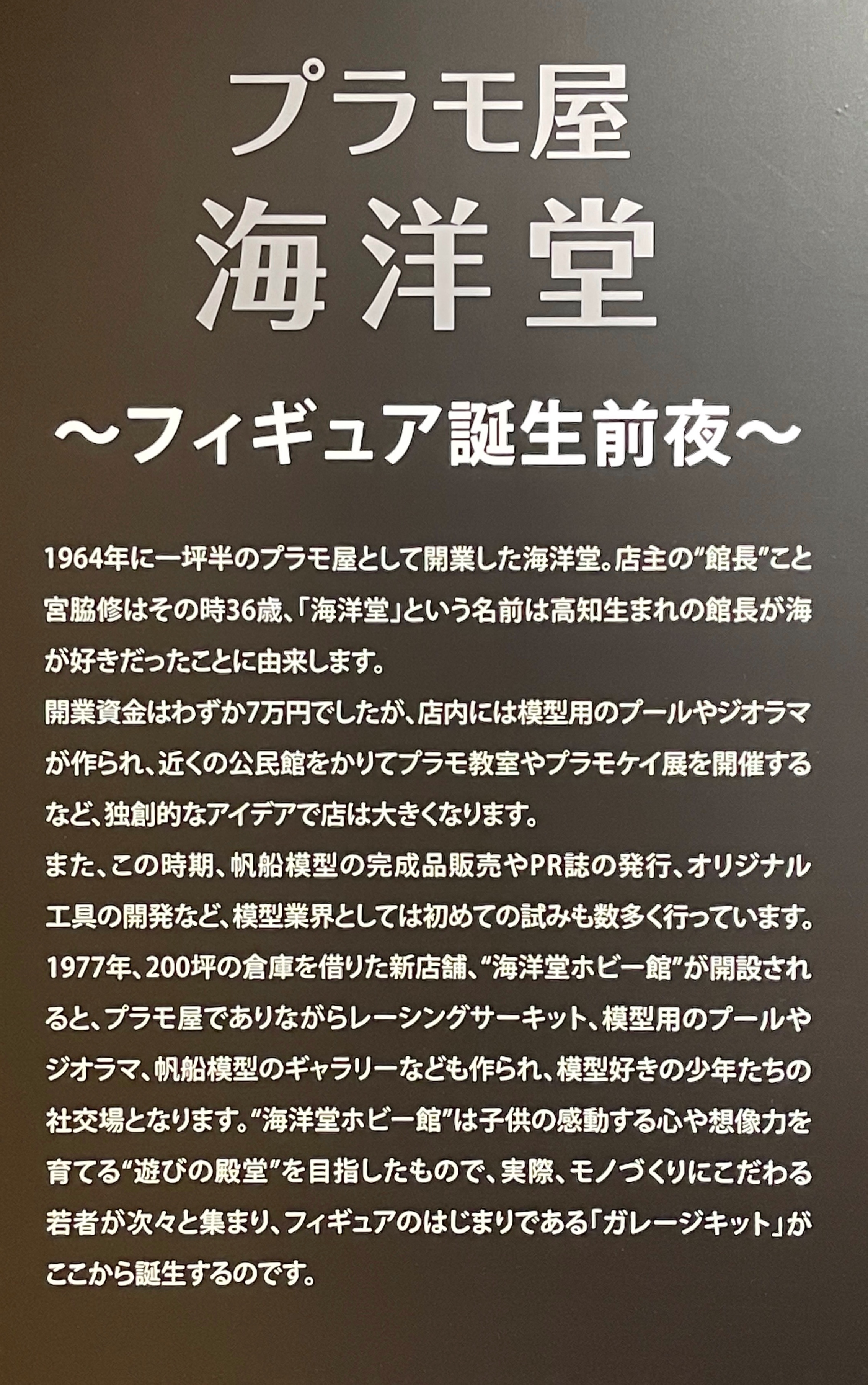 曾我蕭白「富士三保図屏風」と日本美術の愉悦(MIHO MUSEUM COLLECTION): Miho myuÌ„jiamu.:  9784861524912: : Books