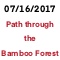 Path through the Bamboo Forest