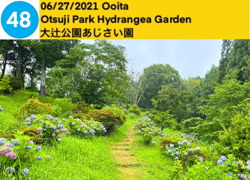 Otsuji Park Hydrangea Garden