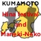 Hina festival and Maneki-Neko in Kikuchi area